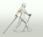 Neue Nordic-Walking Kurse ab Samstag den 17. April 2022